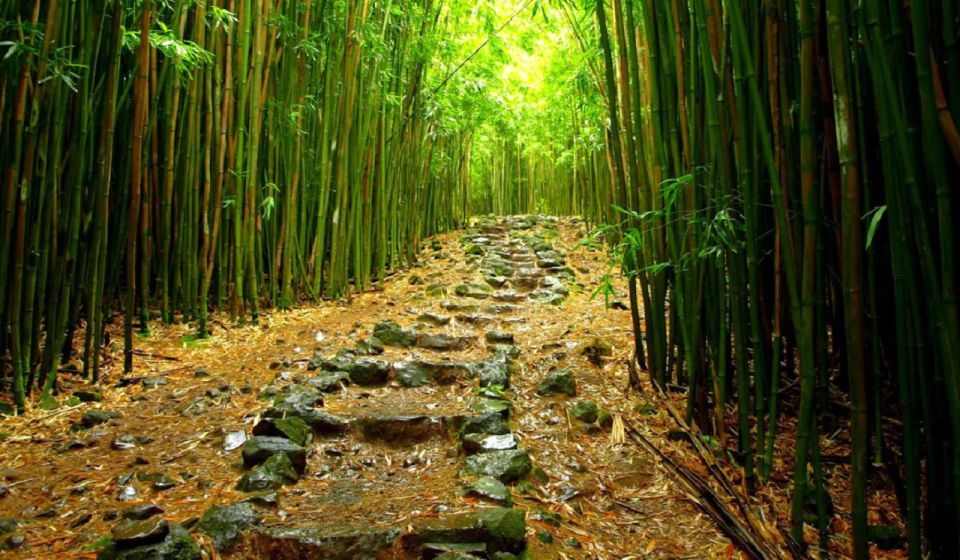 Maui: Hana Hiking Tour with Lunch - Seven Sacred Pools and the power of Oheo Gulch