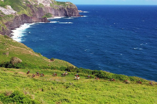 Maui Horseback Adventure at Circle M Ranch With Real Cowboys - The First 45 Minutes: Horses, Safety, and Getting Comfortable