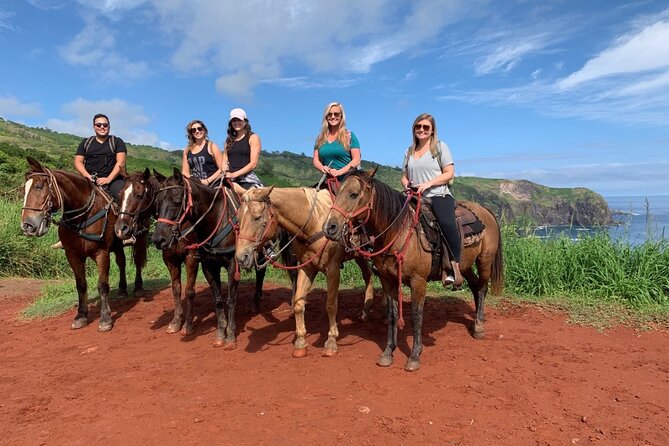 Maui Horseback Adventure at Circle M Ranch With Real Cowboys - Taro Patches, Plantation Homes, and the Return Climb
