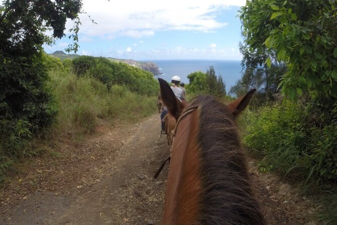 Maui Horseback Adventure at Circle M Ranch With Real Cowboys - Is the $185.20 Price Fair?