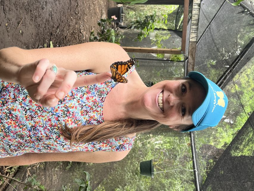 Maui: Interactive Butterfly Farm Entrance Ticket - How the $49 Price Measures Up