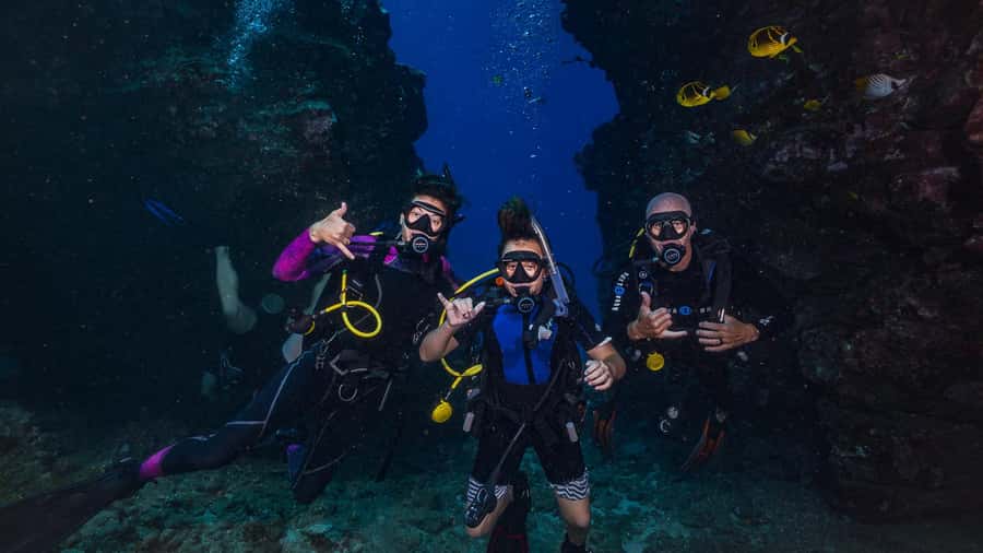 Maui: Intro to Scuba Diving from Shore - Lahaina - Seventy-five minutes around the coral reef