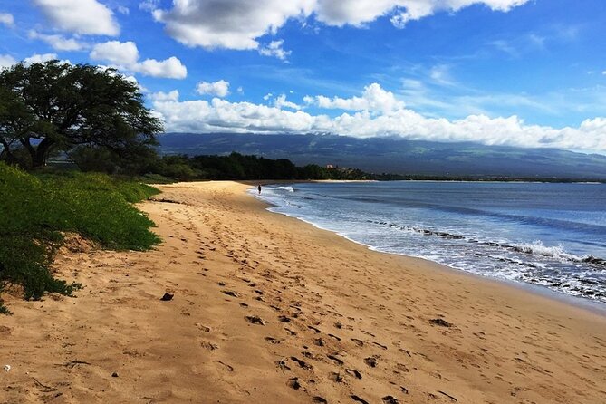 Maui Island Private Day Tour - Alii Kula Lavender pairs flowers with broad views