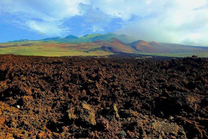 Maui Island Private Day Tour - Maui Ocean Center works well for a mixed-age group