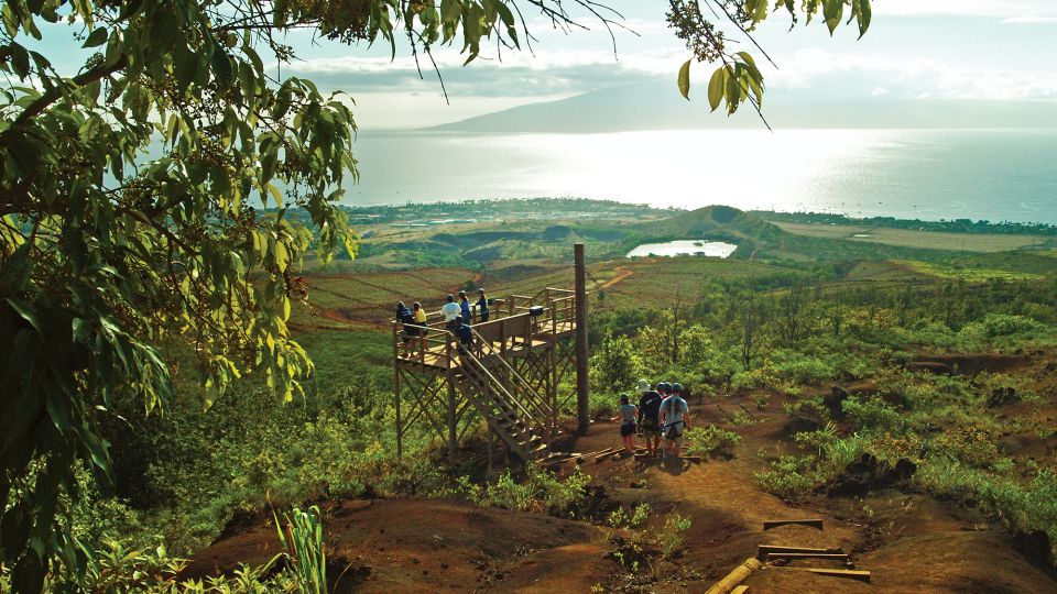 Maui: Ka'anapali 8 Line Zipline Adventure - The views above Kaanapali