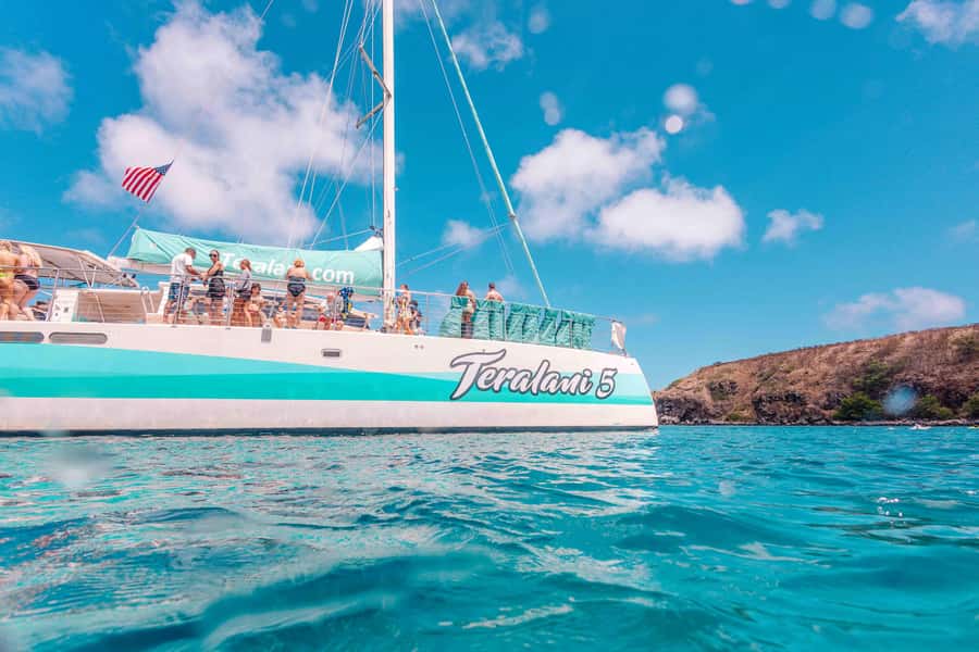 Maui: Ka'anapali Discount Whale Watch - Beach Loading Vessel - Key points at a glance