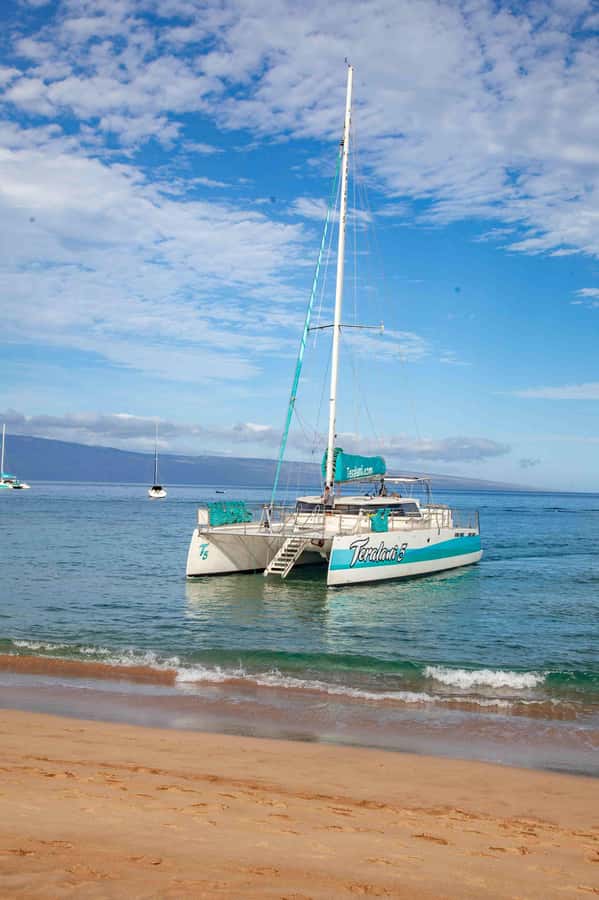 Maui: Ka'anapali Discount Whale Watch - Beach Loading Vessel - The marine naturalist’s role
