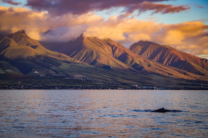 Maui: Ka'anapali Luxury Sunset Cocktail Sail with Open Bar - Is $141.98 a fair price?