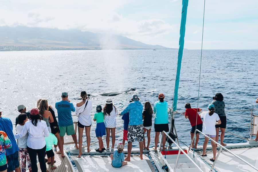 Maui: Ka'anapali Whale Watching Cruise on Luxury Sailboat - Practical details that can make the morning easier