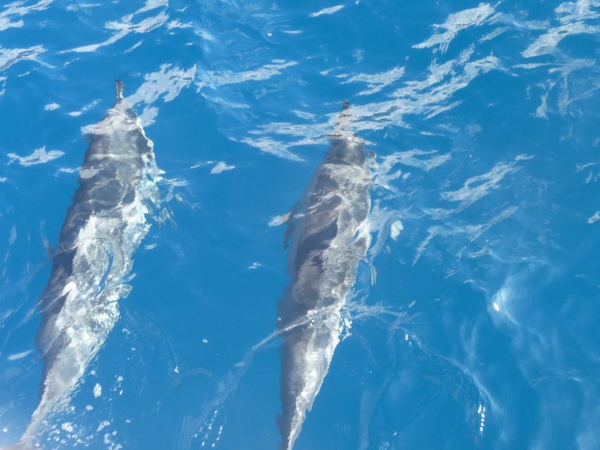 Maui: Kaanapali Beach 4-hour Snorkel w/ BBQ Lunch & Open Bar - Coffee, fruit, and the first look at the coast