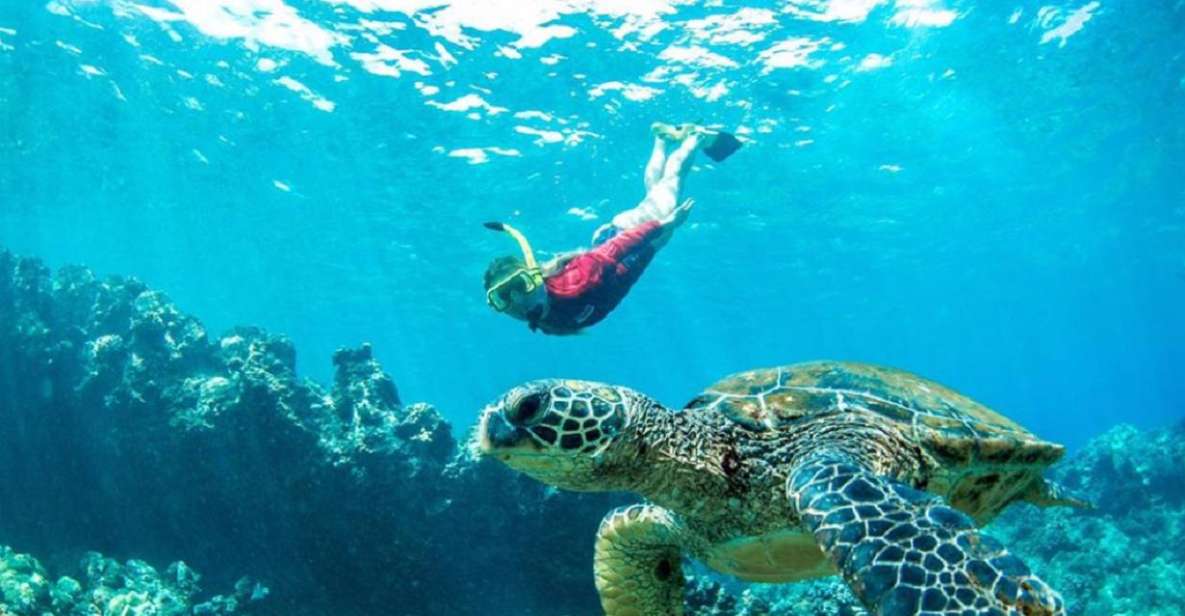 Maui: Kaanapali Beach 5-hr Snorkel w/ BBQ Lunch & Open Bar - Key points at a glance