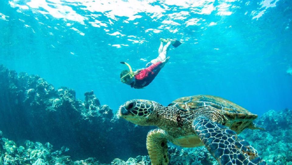 Maui: Kaanapali Beach 5-hr Snorkel w/ BBQ Lunch & Open Bar - Breakfast begins the Pacific crossing