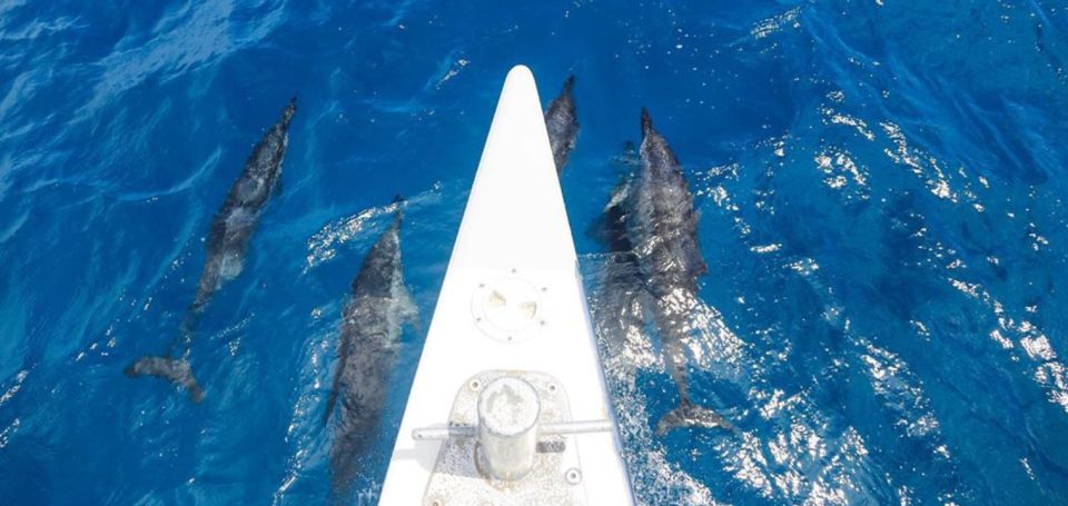Maui: Kaanapali Beach 5-hr Snorkel w/ BBQ Lunch & Open Bar - Open-bar sailing back to Kaanapali