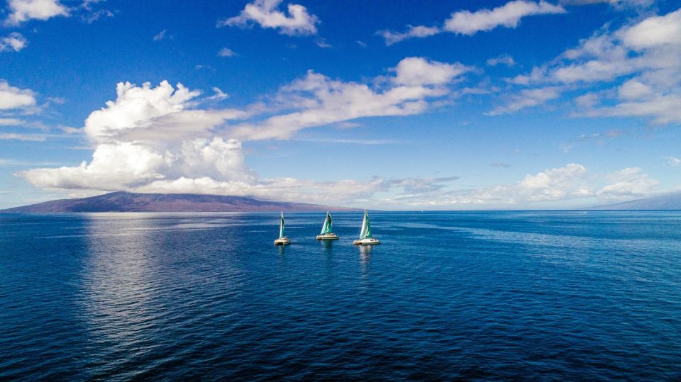Maui: Kaanapali Dolphin Watching Boat Trip with Lunch - Lunch, pupus, and an open bar