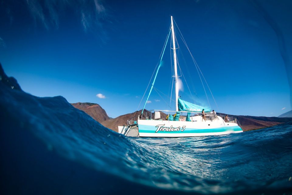 Maui: Kaanapali Dolphin Watching Boat Trip with Lunch - A catamaran built for open-water views