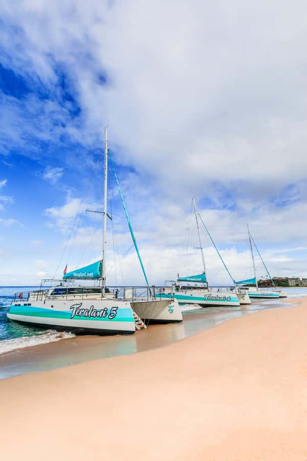 Maui: Kaanapali Whale Watching Boat with Open Bar and Food - Who Will Like This Cruise Most