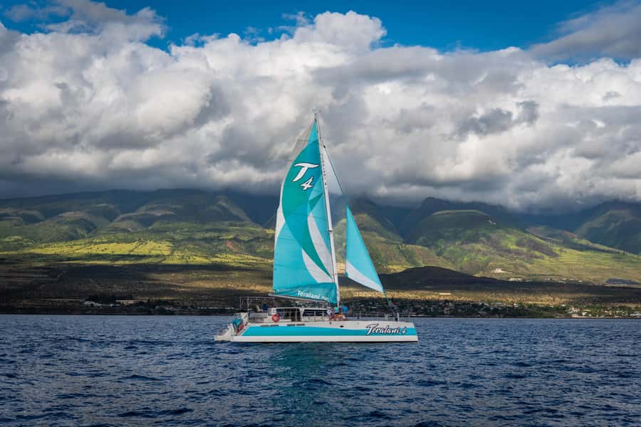 Maui: Kaanapali Whale Watching Boat with Open Bar and Food - FAQ