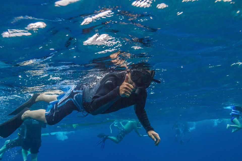 Maui: Lanai Snorkel & Dolphin Watch with Lunch - Practical packing advice for five hours at sea