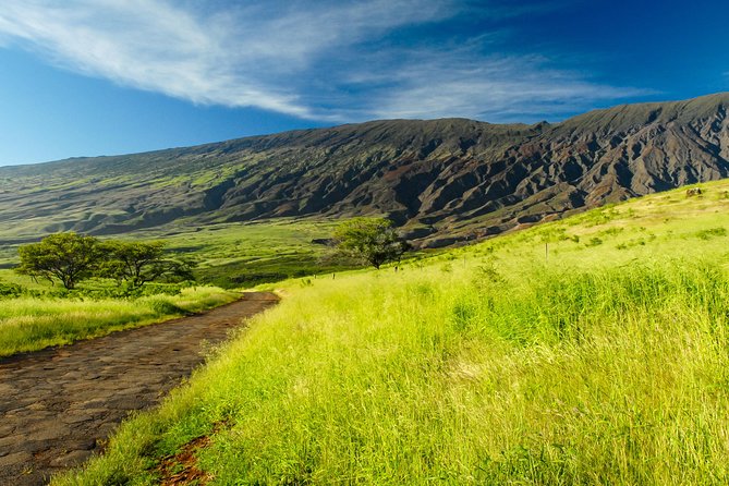 Maui "Loop" Road To Hana Audio Driving Tour - Beyond Hana: waterfalls and the Kipahulu area