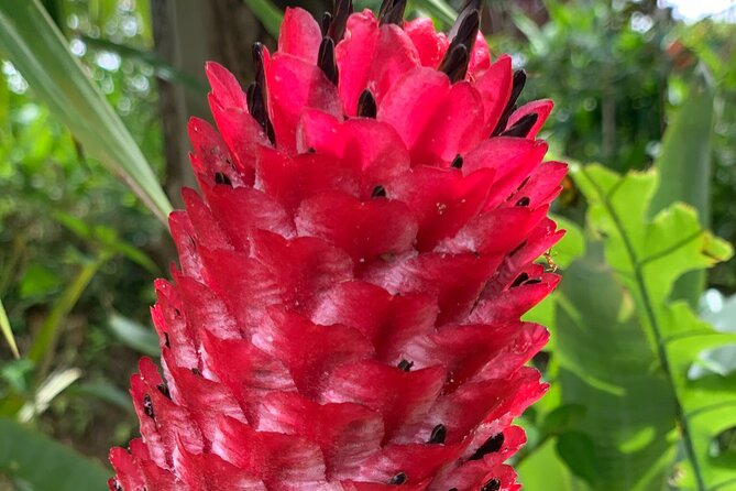 Maui Magical Waterfall and Jungle Tour: Road to Hana - Snacks, vehicle comfort, and the road itself