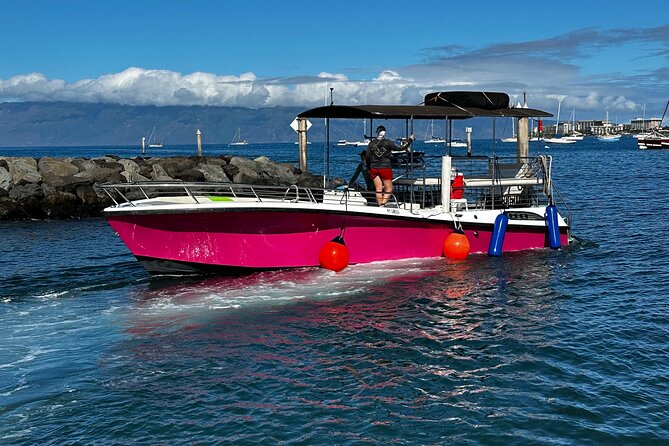Maui Mid Day Magic Whale Watch - What you may see in Maui’s protected waters