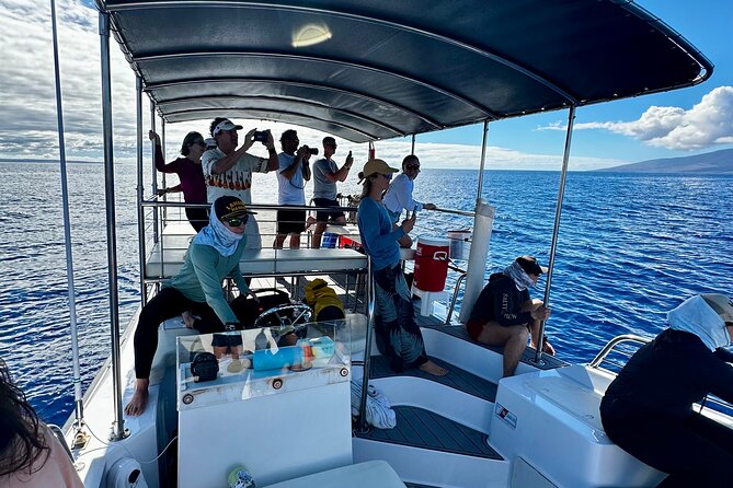 Maui Mid Day Magic Whale Watch - The crew makes the difference