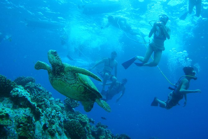 Maui: Molokini and Turtle Town Snorkeling aboard Pride of Maui - A comfortable boat, with a few practical quirks