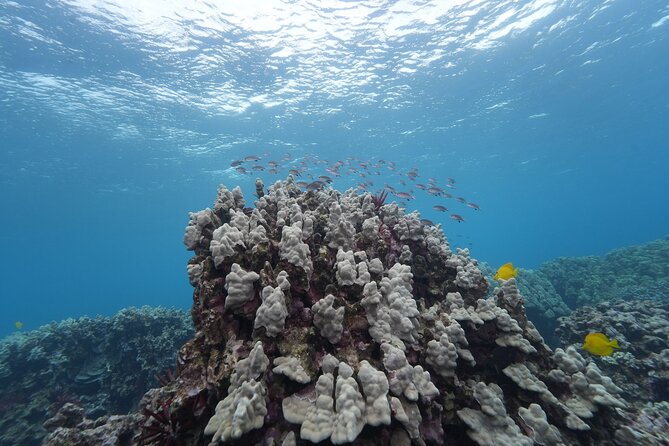 Maui: Molokini and Turtles Luxury Yacht Snorkel - Weather can change the entire experience