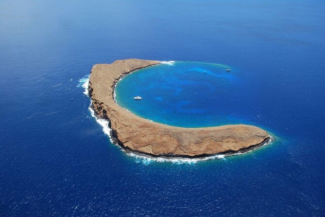 Maui: Molokini Crater and Turtle Town Snorkeling From Kihei - Key points to know before booking