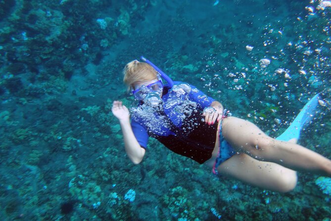 Maui: Molokini & Turtle Town Snorkel & Waterslide Adventure - Photos, gear, and small practical details