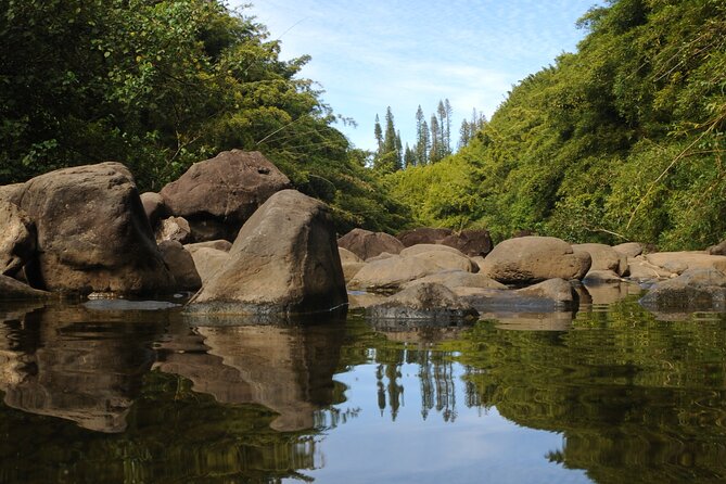 Maui part-way to Hana North Shore sightseeing & Photography Tour! - Bamboo Forest: light, lines, and patience