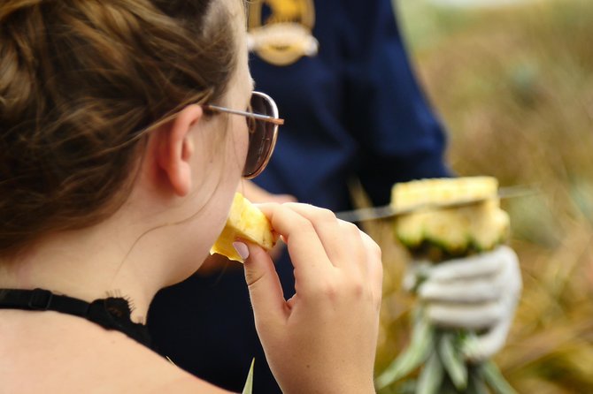 Maui Pineapple Farm Tour in Haliimaile - Pair it with other Haliimaile stops