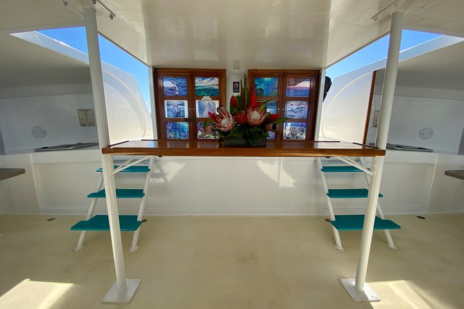 Maui Premium Sunset Dinner Cruise from Ka’anapali Beach - Music, service, and the mood on board