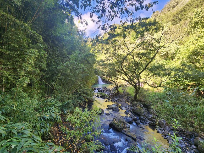 Maui: Private All-Inclusive Road to Hana Tour with Pickup - Sea turtles and the coastal side of Hana