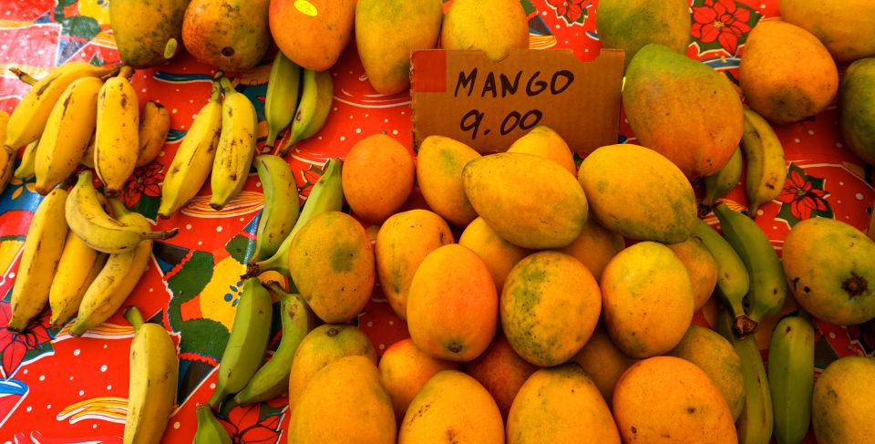 Maui: Private Guided Halfway to Hana Tour - Key points at a glance