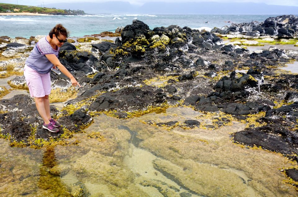 Maui: Private Guided Halfway to Hana Tour - Paʻia and the North Shore surf