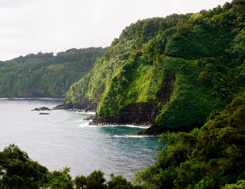Maui: Private Guided Halfway to Hana Tour - Wailua Valley, tide pools, and the last lava flow