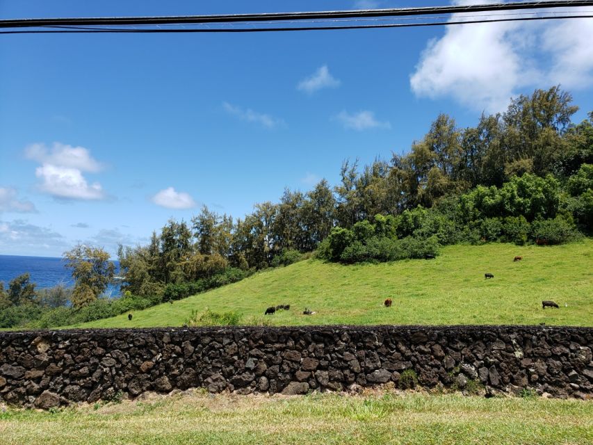 Maui : Private : Road to Hana Day Trip : Just For Your Group - Price, meals, and the value for six people