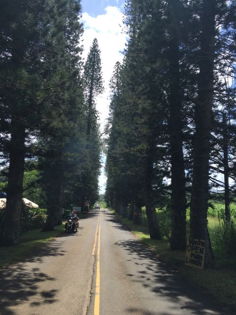 Maui : Private : Road to Hana Day Trip : Just For Your Group - Ho’okipa Beach Park and the chance to see turtles