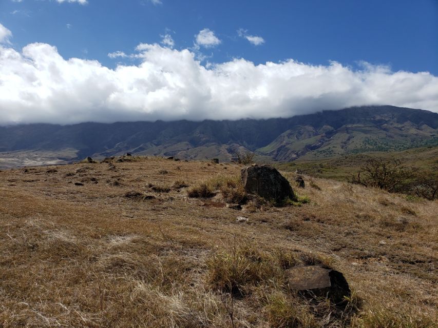 Maui : Private : Road to Hana Day Trip : Just For Your Group - What the private format really changes