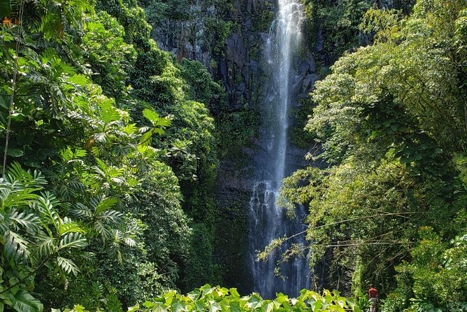 Maui Private Tour - Road to Hana Adventure - Just for Your Group - Hotel pickup and the value of the $1,599 price