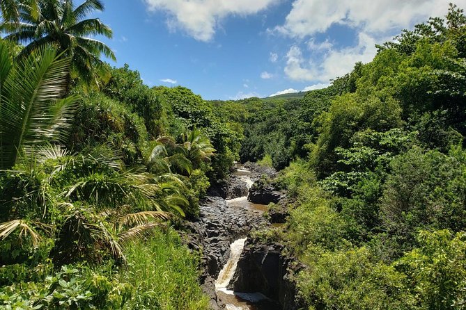 Maui Private Tour - Road to Hana Adventure - Just for Your Group - Banana bread, roadside food, and lunch