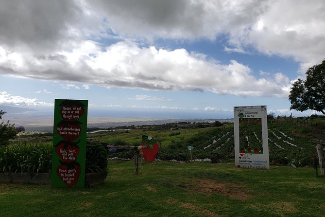 Maui Private Tour - Road to Hana Adventure - Just for Your Group - Puaa Kaa, rainbow eucalyptus, and a chance to swim