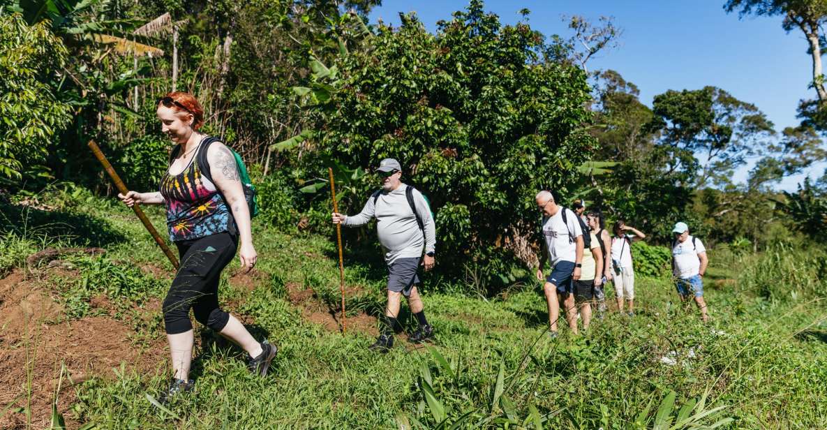 Maui: Rainforest Waterfalls Guided Hike with Picnic Lunch - Key points to know before you book