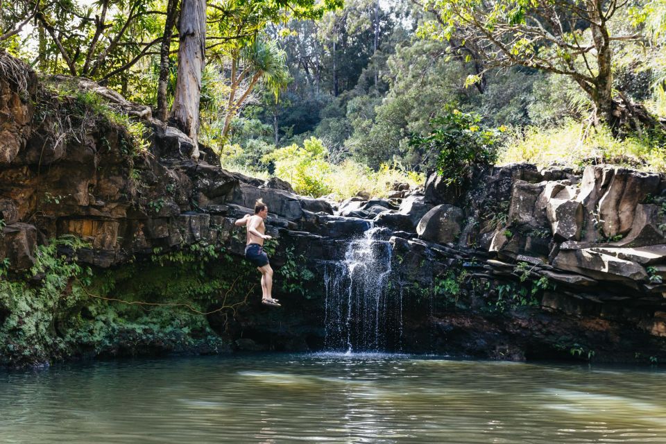Maui: Rainforest Waterfalls Guided Hike with Picnic Lunch - Three to five waterfalls, each with a different mood