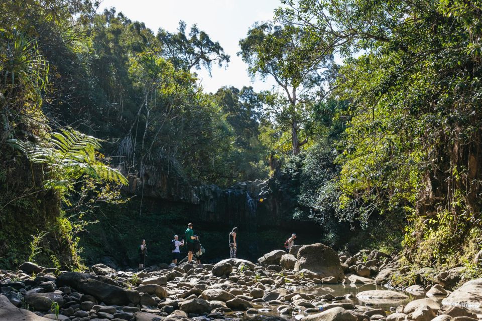 Maui: Rainforest Waterfalls Guided Hike with Picnic Lunch - Learning the forest, one plant at a time