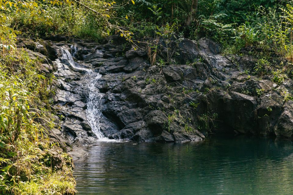 Maui: Rainforest Waterfalls Guided Hike with Picnic Lunch - A picnic lunch beside the water