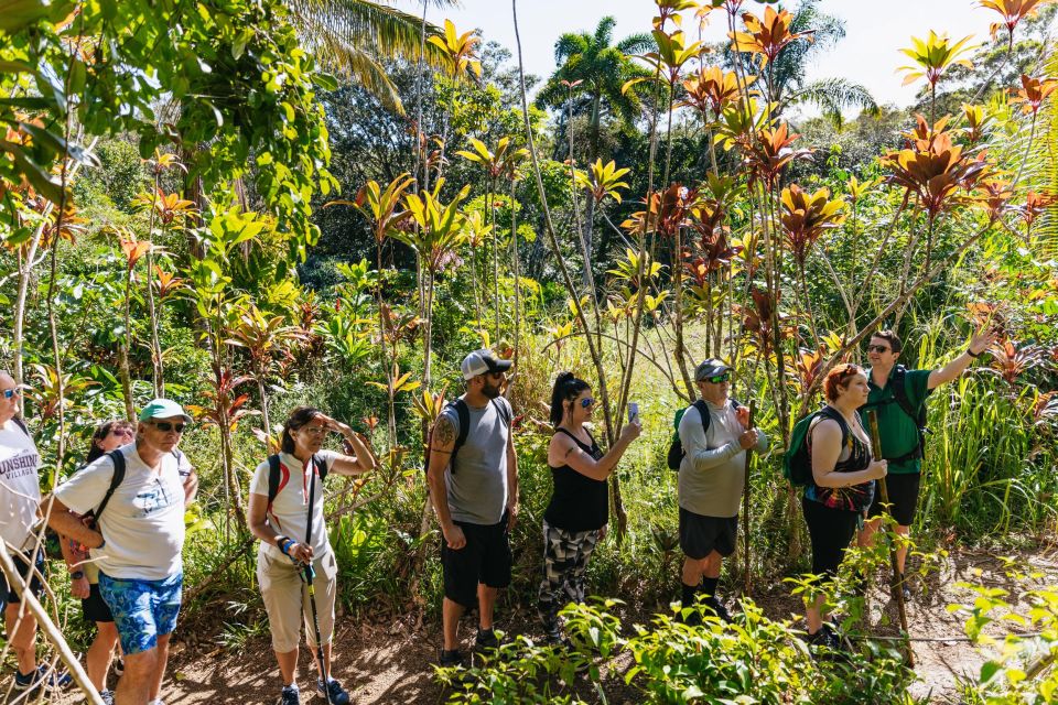 Maui: Rainforest Waterfalls Guided Hike with Picnic Lunch - Timing, transport, and the real value of $187