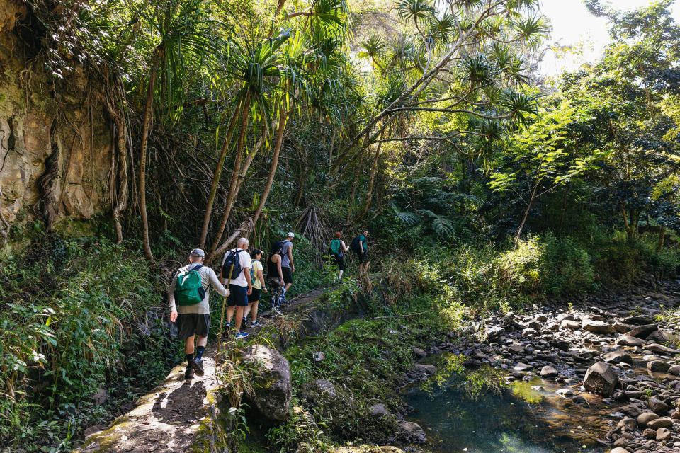 Maui: Rainforest Waterfalls Guided Hike with Picnic Lunch - Who will enjoy this Maui hike most