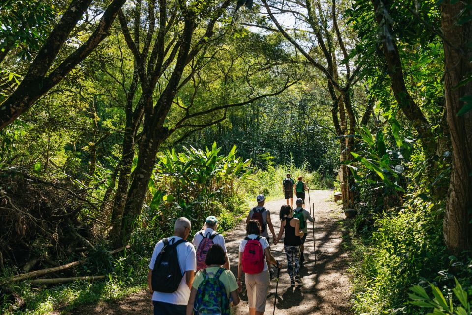 Maui: Rainforest Waterfalls Guided Hike with Picnic Lunch - Practical packing advice for a wet trail